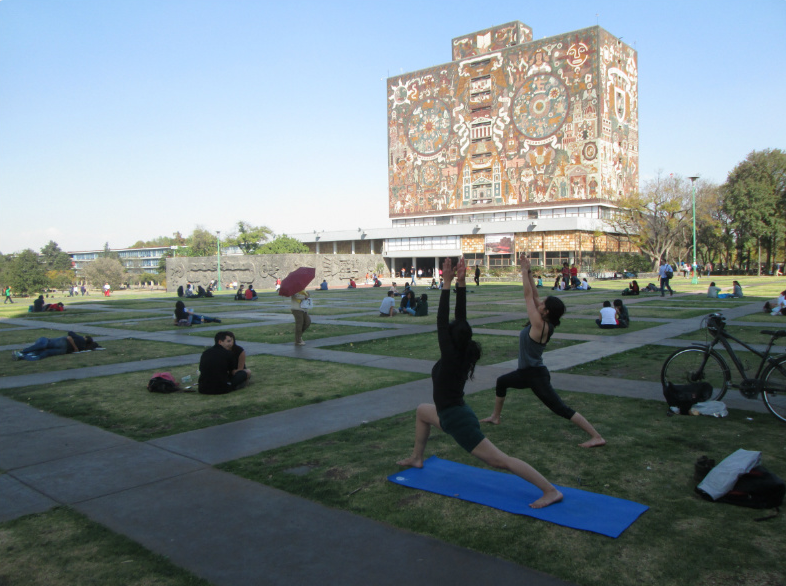 Acción contra la obesidad: El yoga