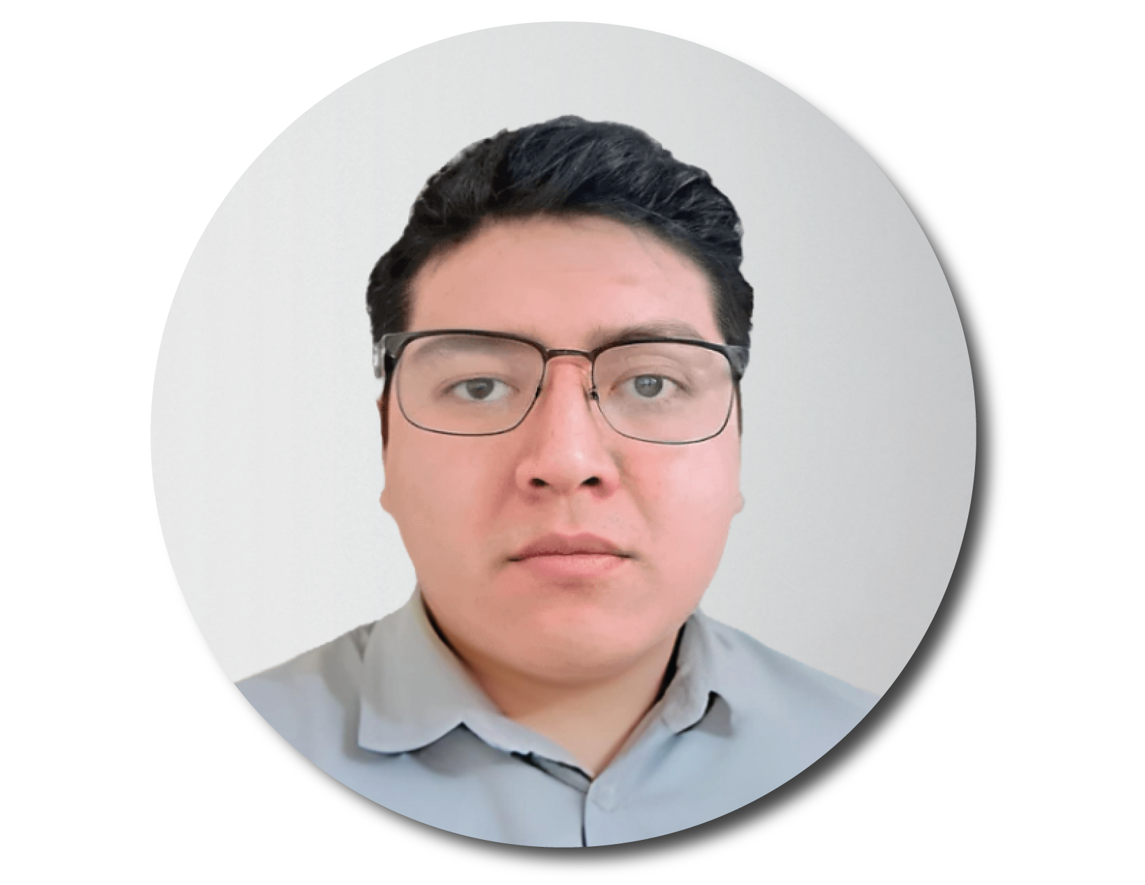 Ing. José Manuel Piedras Salgado.png