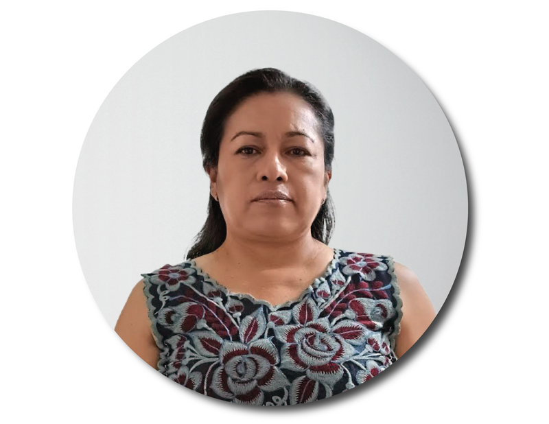 M.I. Alejandra Medina Arévalo.png