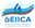 GEIICAv3-07.png