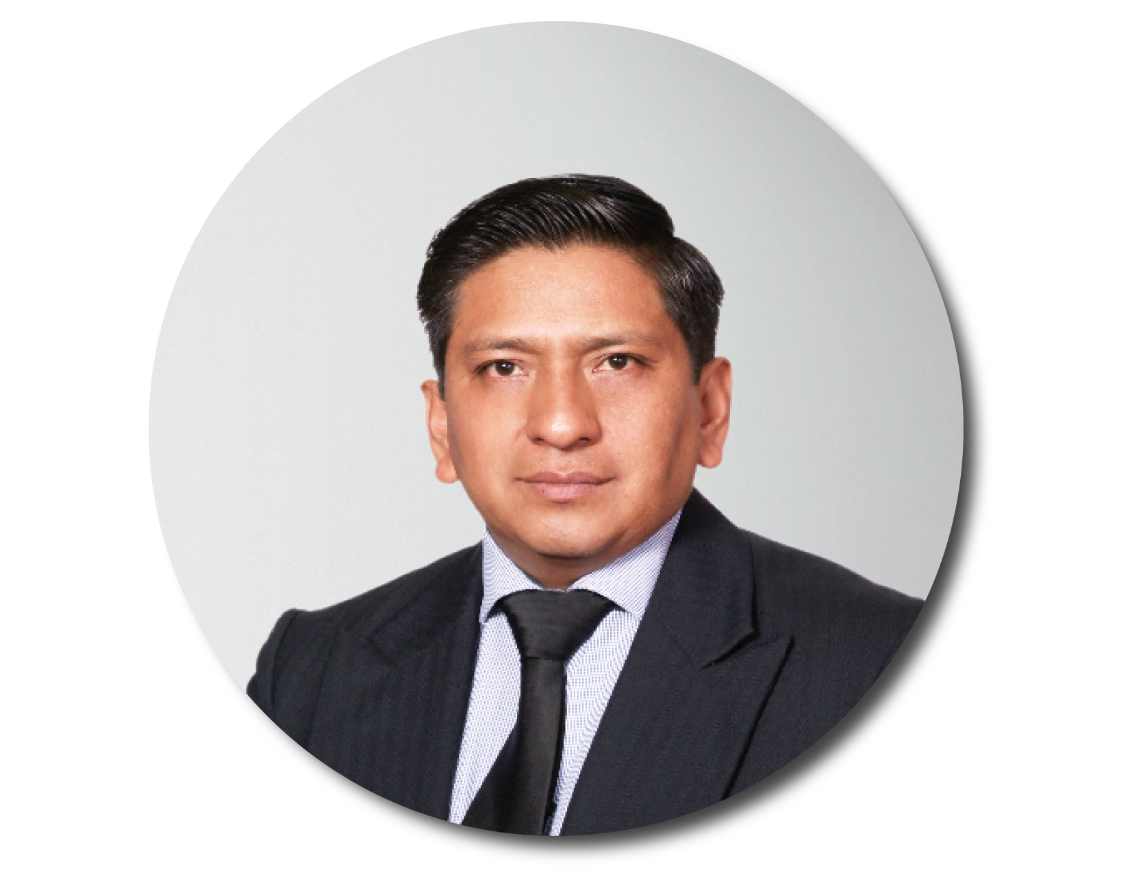M.I. Ricardo Zarate Mendoza.png
