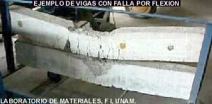 fallaporflexion.jpg